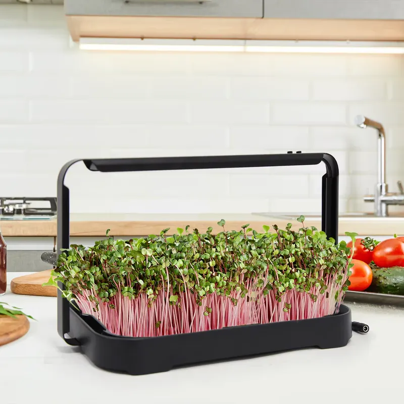 Hydroponic Tray Indoor Microgr - огляд і ціна Seed Planter